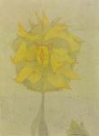 A la maniere d´une rose